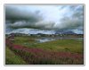 27/P1190987 site3.jpg